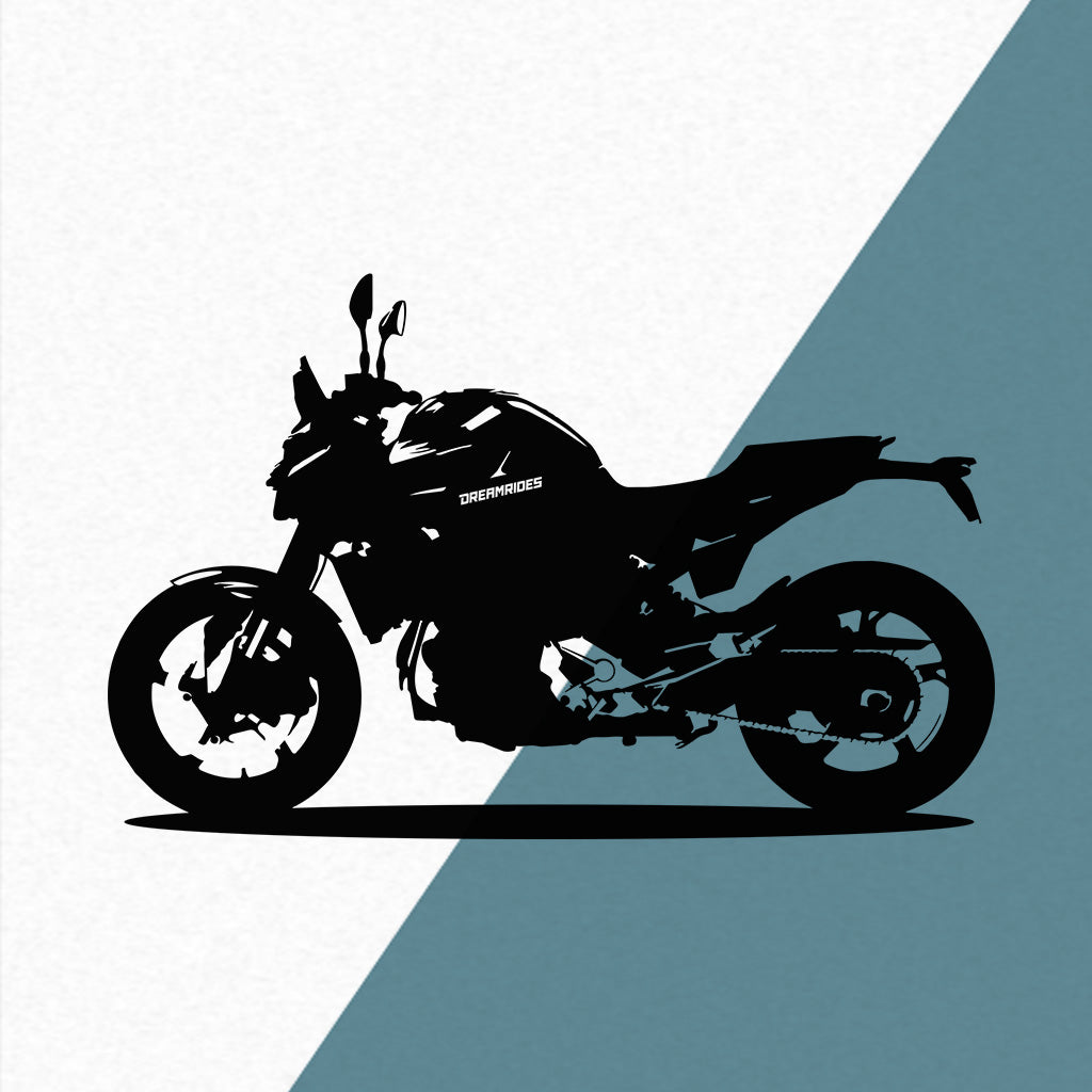 BMW F 900 R (2026) - Wandtattoo