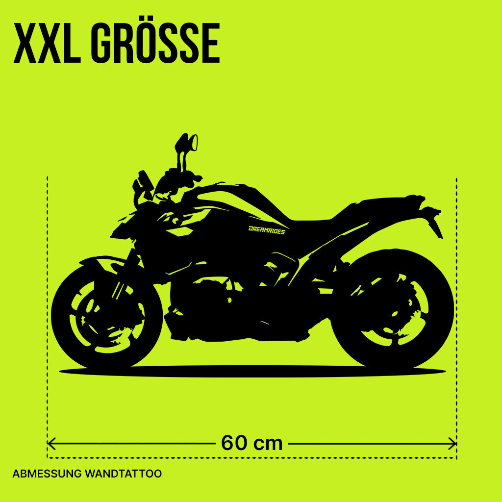 BMW R 1300 R (2026) - Wandtattoo